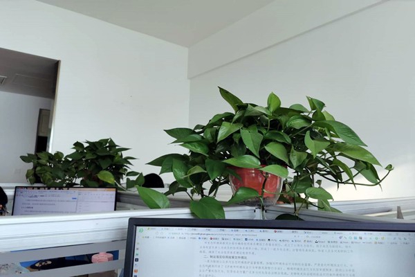 濟(jì)南市生態(tài)環(huán)境局市中分局多措并舉落實(shí)環(huán)境監(jiān)測(cè)管理辦法！