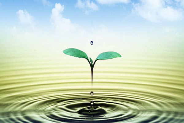 環(huán)境監(jiān)測公司如何吸引客戶與自己合作呢？