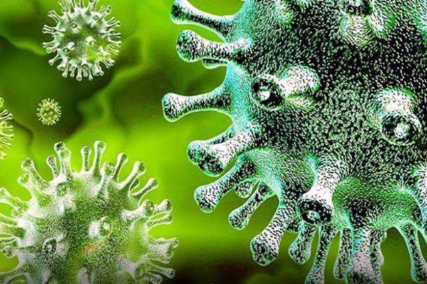 環境監測公司論肺炎疫情防控的有序推進、無縫銜接！