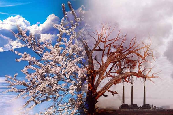 環境監測國家標準滯后于技術應用？