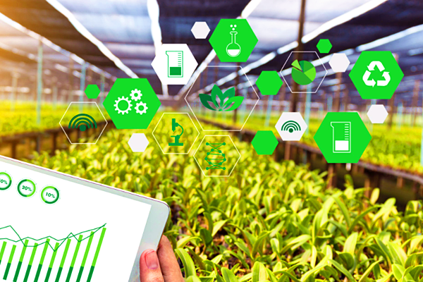 深度解析溫室大棚環境監控系統