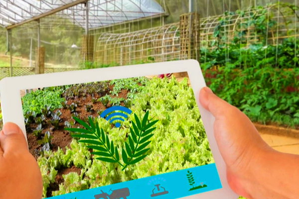 環(huán)境監(jiān)控系統(tǒng)，為農(nóng)作物生長保駕護航