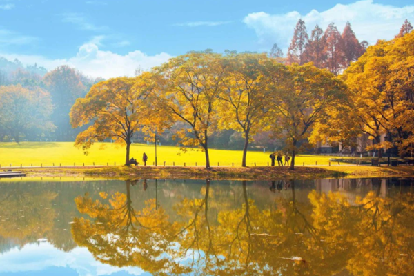 《內蒙古自治區“十四五”應對氣候變化規劃》（節選）