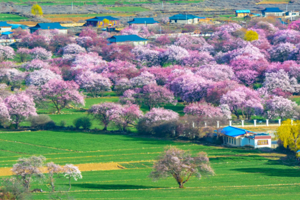 山東省打造生態(tài)環(huán)境監(jiān)測社會化服務(wù)平臺！