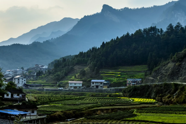 《河北省建設京津冀生態環境支撐區“十四五”規劃》印發！