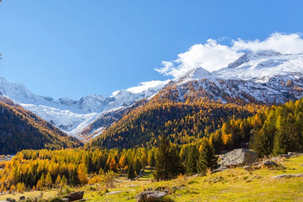 “十四五”需求升級，環境監測企業應如何臨機制勝？