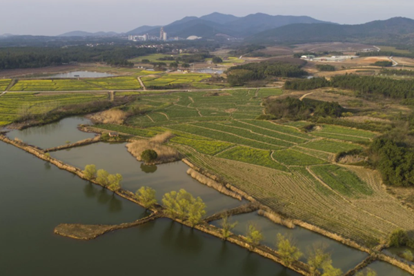 構建生態環境智慧監測新體系！