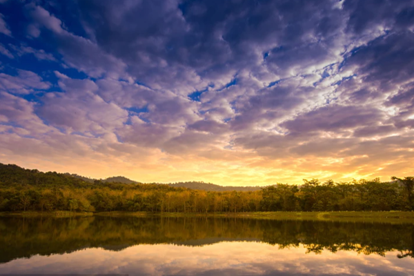 環境在線監測系統的建設與應用研究