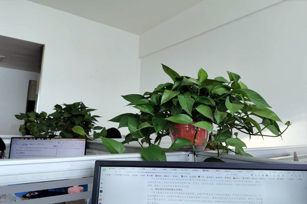 濟南市生態環境局市中分局多措并舉落實環境監測管理辦法！