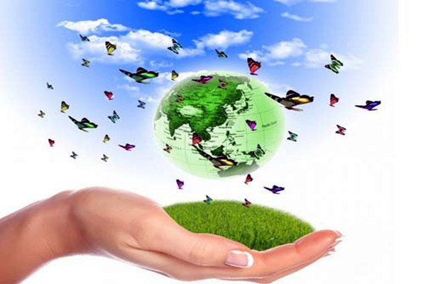 環境檢測公司如何搶占市場份額，風生水起？