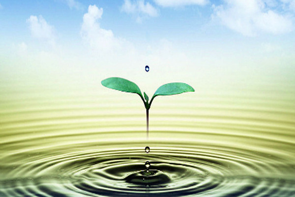 環境監測公司如何吸引客戶與自己合作呢? 環境監測公司如何吸引客戶與自己合作呢?