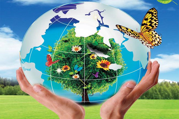 環境監測公司如何利用電商渠道發展？