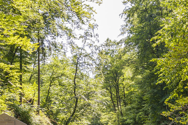 環(huán)境監(jiān)測 環(huán)境監(jiān)測